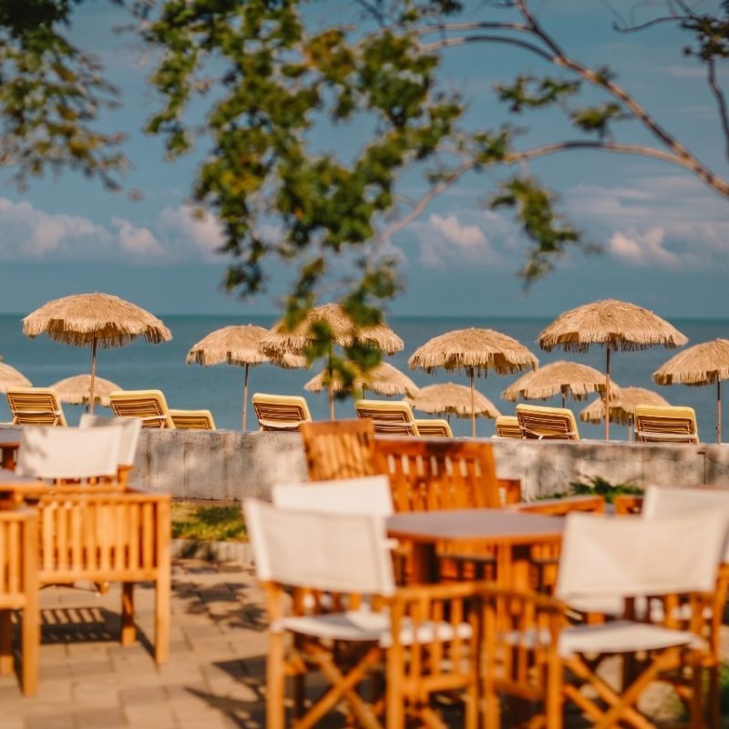 Wedding at Dreamland oasis